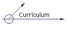 Curriculum